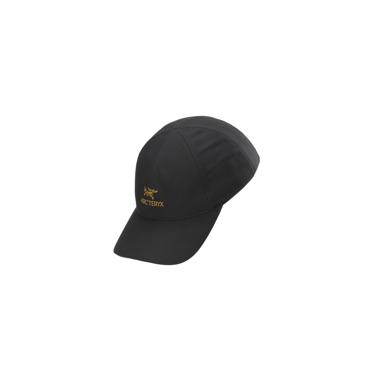 Arc'teryx Men's Bird Word Cap