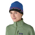 Patagonia Beanie Hat